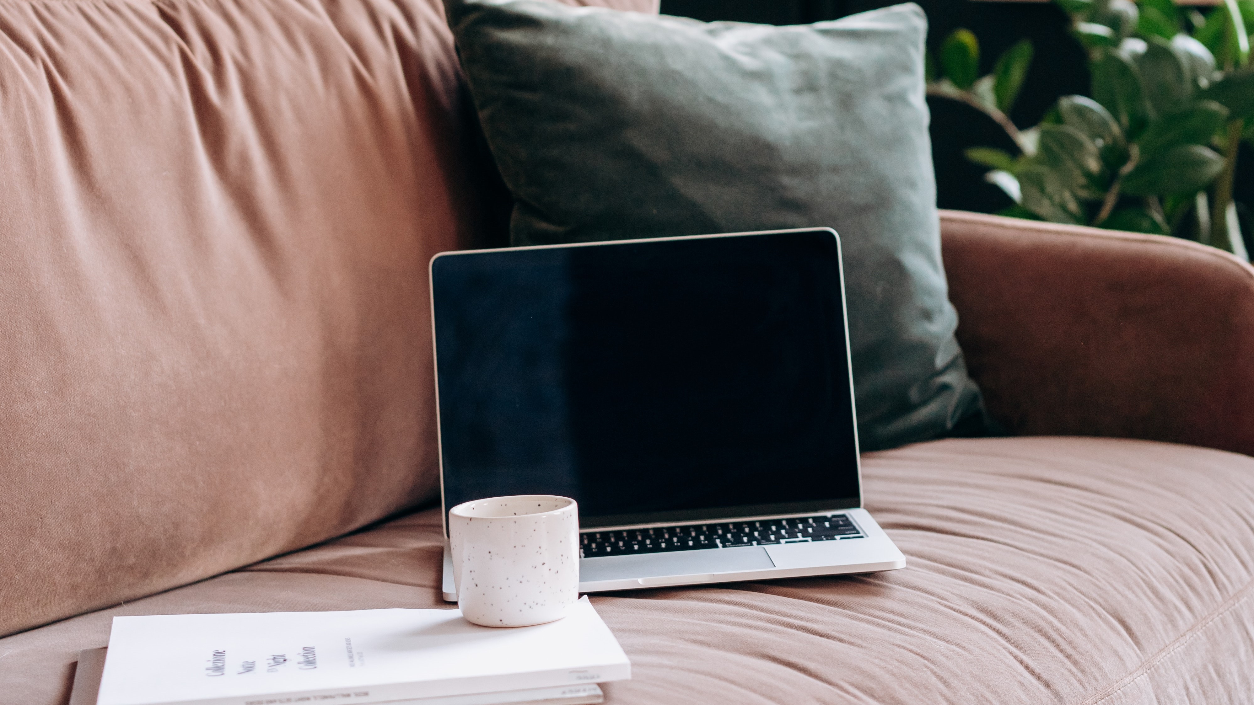 Laptop, Kaffeetasse und Unteralgen auf einem rosa Sofa